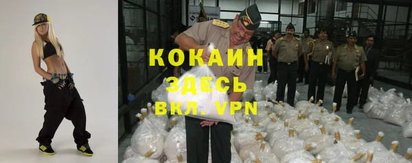 твердый Абаза