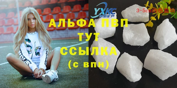 твердый Абаза