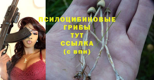 твердый Абаза