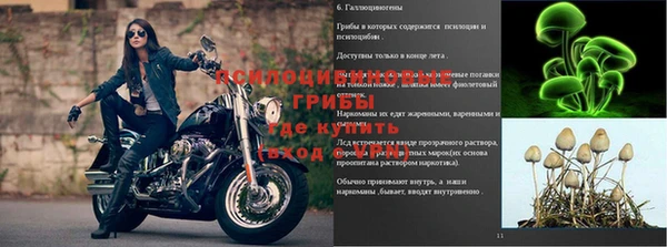 apvp Абинск