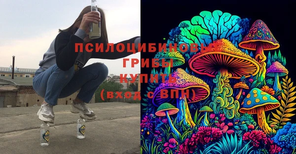 твердый Абаза